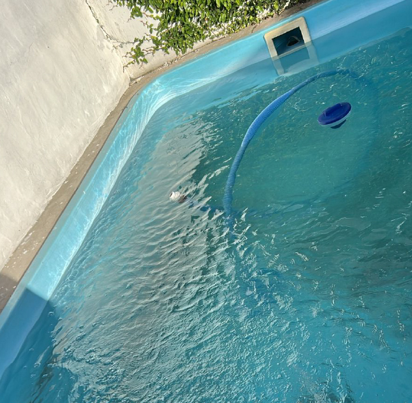 Mesa de trabajo 2 copia 2-100